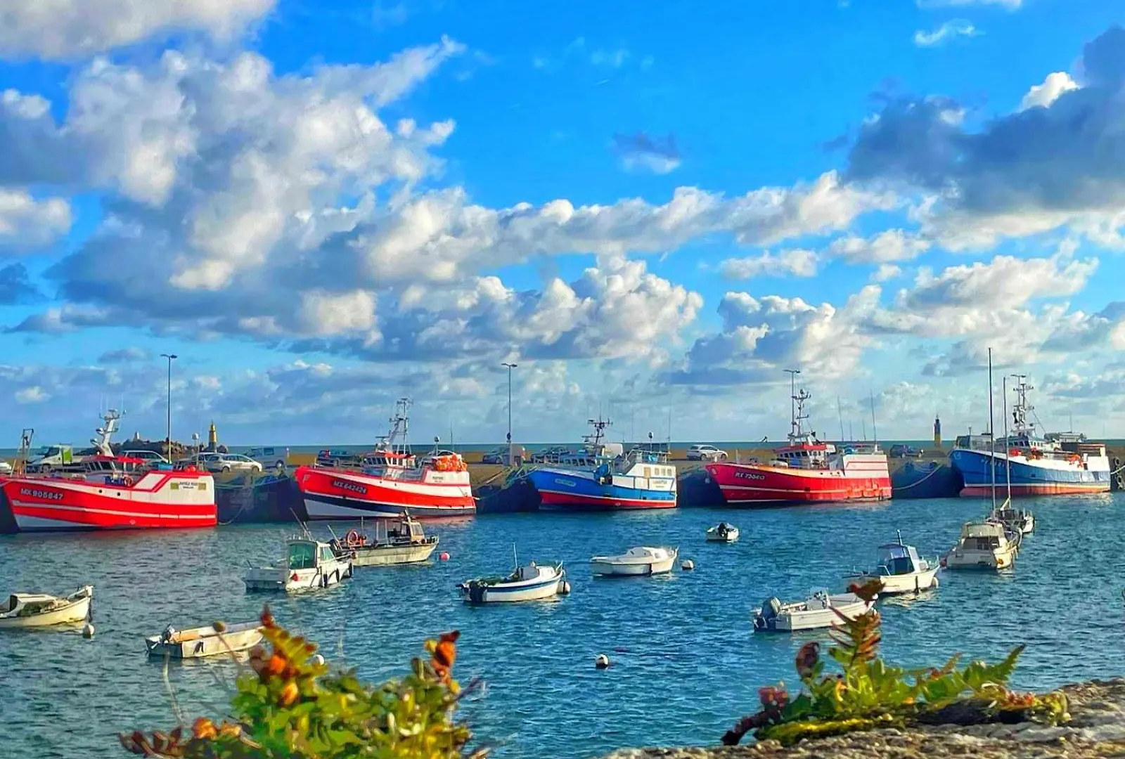 Le Vieux Port - Vue Mer Roscoff